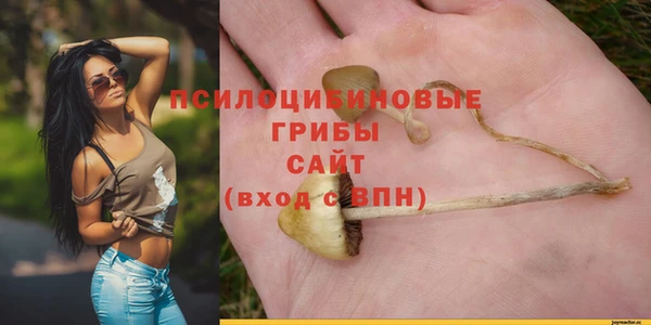 дмт Абаза