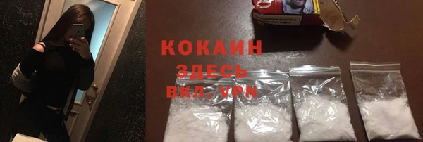 дмт Абаза