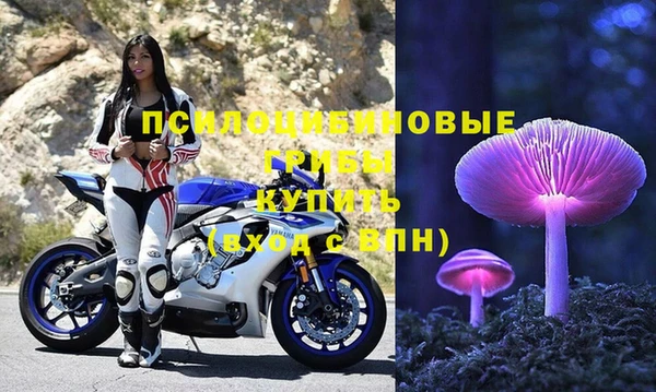 твердый Горняк