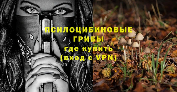стаф Горнозаводск