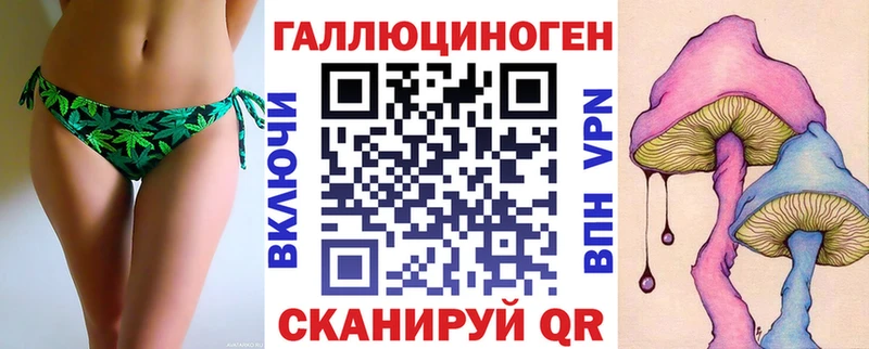 mega вход  Красновишерск  Псилоцибиновые грибы Cubensis 